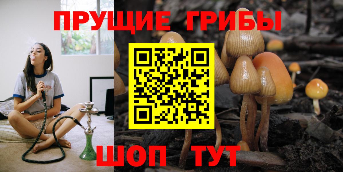 Галлюциногенные грибы MAGIC MUSHROOMS Назарово