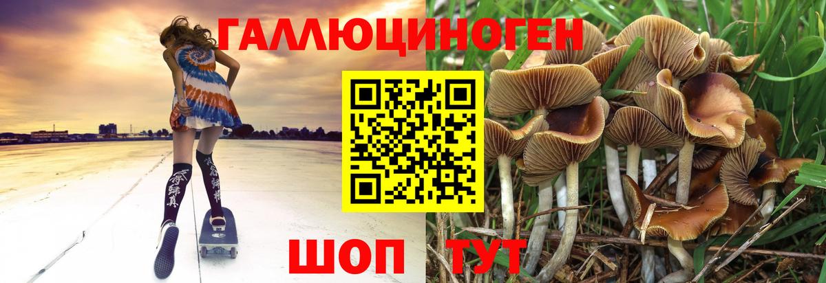 Назарово  Псилоцибиновые грибы Magic Shrooms  купить наркотик  Вход с VPN 