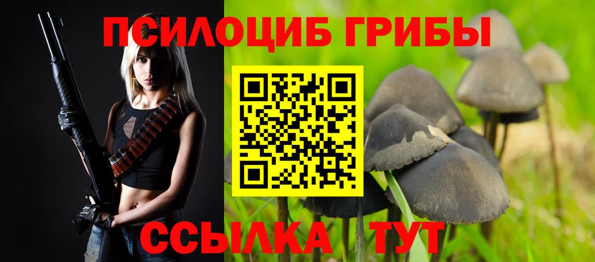 Галлюциногенные грибы GOLDEN TEACHER  Назарово  Псилоцибиновые грибы Magic Shrooms 